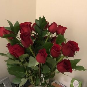 Meet your Posher, Eva